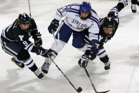 开云全站-中国女篮完善阵容结构 多点得分格局初成，中国女篮队队员名单照片