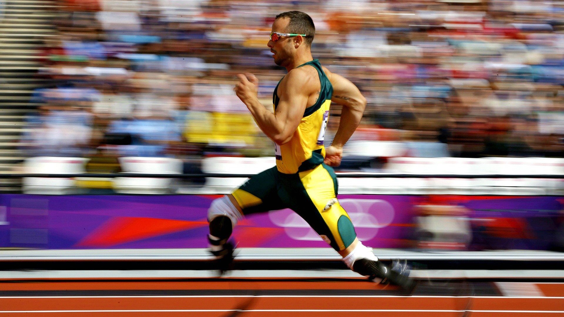 世界拳击赛事多场冠军争夺战备受关注,世界拳击最新比赛